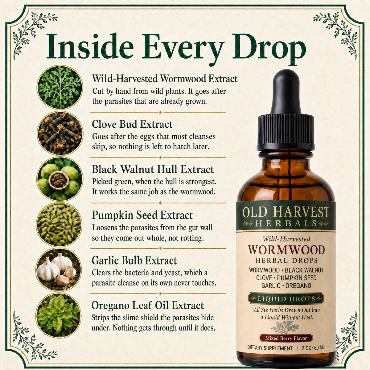 Wild-Harvested Wormwood Herbal Drops